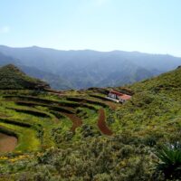 Vídeos. Tenerife Rural