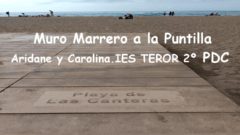 Documento pdf