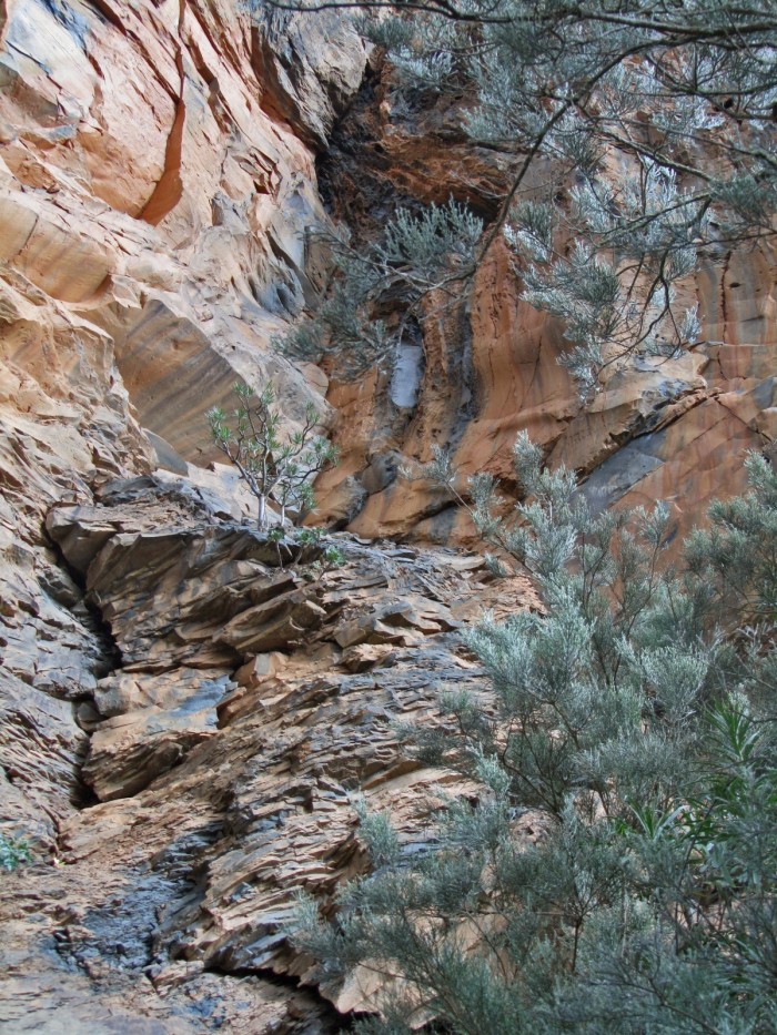 Barranco